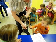 Obojživelníci a plazi